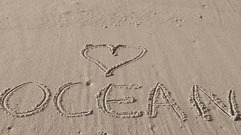 Valentinstag Cleanup am Strand