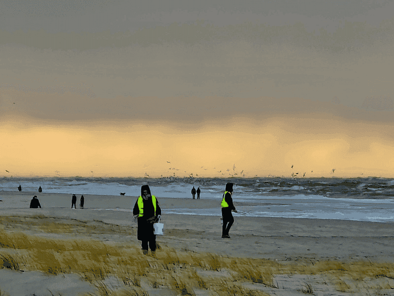 Beach Clean Up an der Buhne 16 und Tierfiguren legen aus Meeresmüll