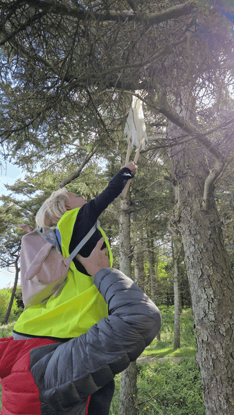 Cleanup und Bogenschießen