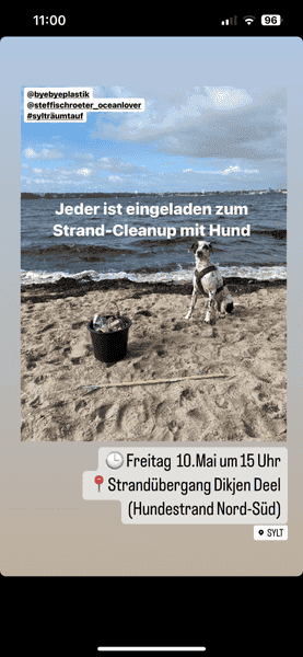 Strand-Cleanup mit Hund!