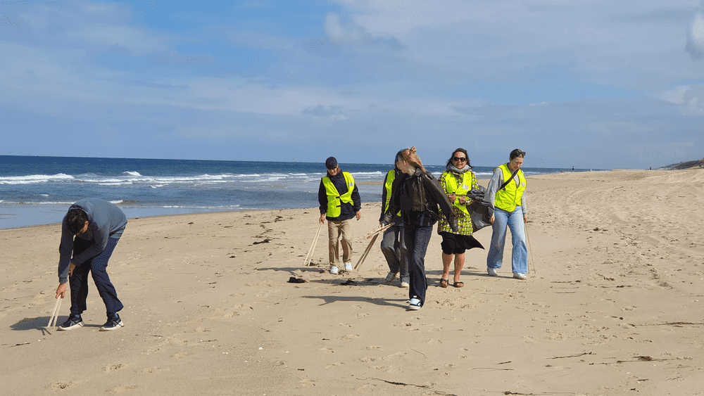 Beach Cleanup und Trash Art