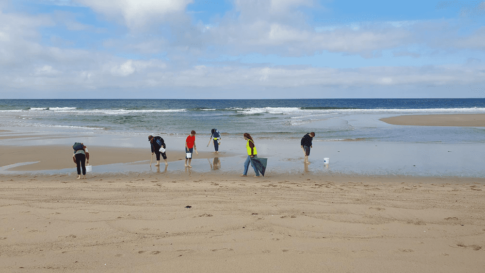 Cleanup an der Himmelsleiter in Westerland