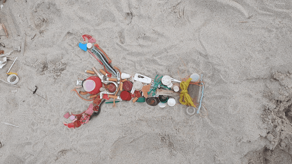 Beach Clean Up in Rantum und Tierfiguren legen aus Meeresmüll