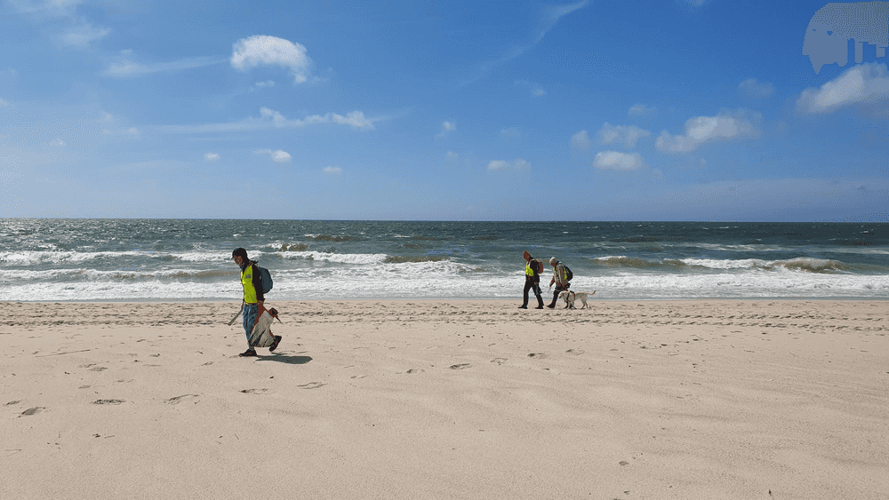 SOMMERaktion von „Sylt räumt auf“ geht mit Sundowner Cleanups in die zweite Hälfte.