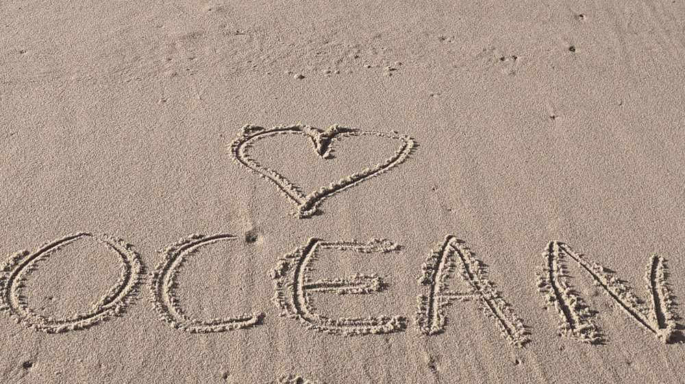 Valentinstag Cleanup am Strand 