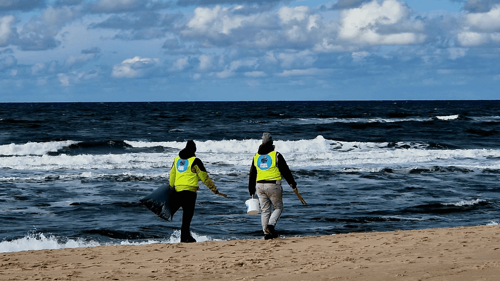 Neujahrs-Strandreinigung an der Strandsauna in List