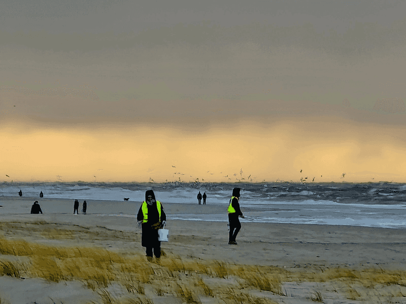 Beach Clean Up an der Buhne 16 und Tierfiguren legen aus Meeresmüll