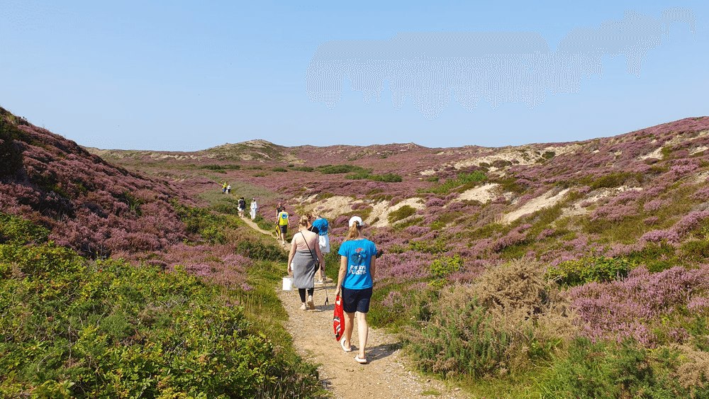 Jahresrückblick 2025 – Das Meer kennt keine Saison