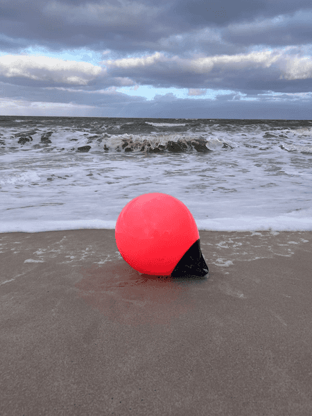 Cleanup nach Sturm "Joshua "💪